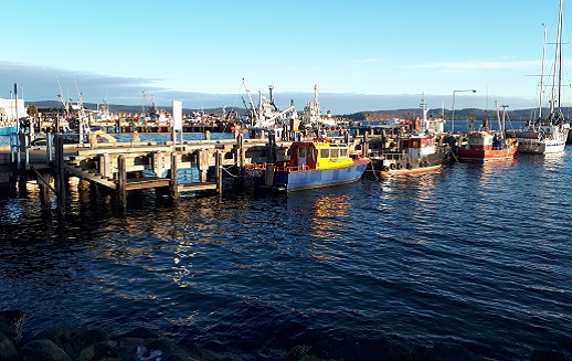 江蘇智運(yùn)科技發(fā)展有限公司